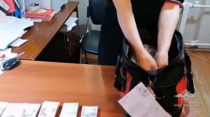 Ирина Волк: В Архангельской области полицией задержаны подозреваемые в краже из почтового отделения