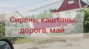 Сирень, каштаны, дорога, май.