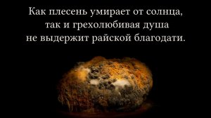 Как плесень умирает от солнца, так и грехолюбивая душа не выдержит райской благодати