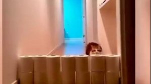 Фильм на вечер !