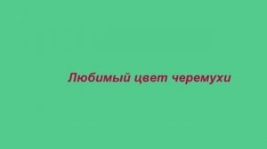 «ЧЕРЁМУХА»   Шувалова Светлана