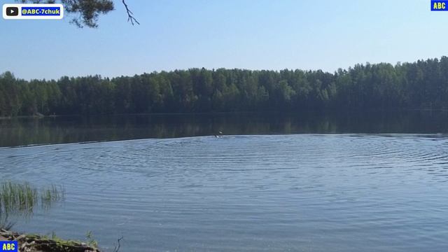 От закаливания к плаванию #юныйпрадедбодрыйдед #будогощь #авсарх