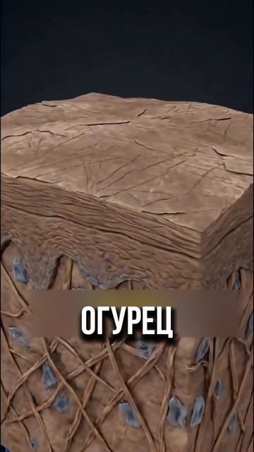 Что будет, если пить воду с лимоном и огурцом перед сном?👀