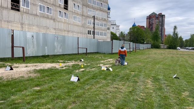 Кубок Панды по ралли обидиенс 2026 Смирнова Галина и Гермиона