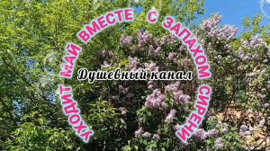 УХОДИТ МАЙ ВМЕСТЕ С ЗАПАХОМ СИРЕНИ.