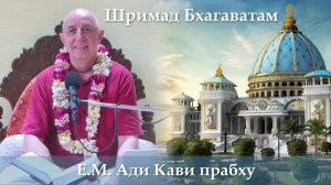 20.05.2026 || Шримад Бхагаватам 11.8.9 | Е.М. Ади Кави пр.