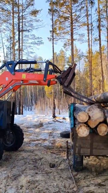 Работа трактора МТЗ по загрузке бревен  с помощью погрузчика (КУНа) Harvest 1000