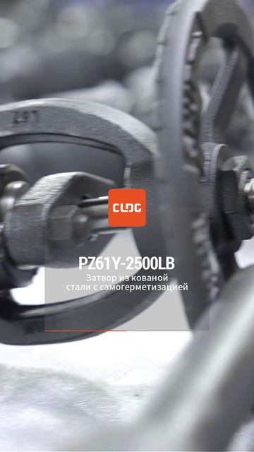 PZ61Y-2500LB Стальной задвижковый клапан с ковкой и самоуплотнением-CLDG
