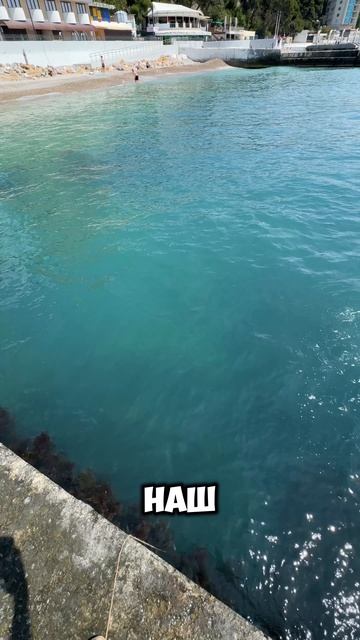 Измеряем температуру морской воды в Черном море! Крым сегодня