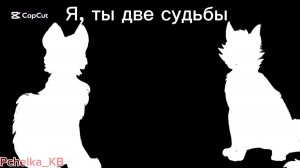 Я, ты две судьбы  🤎🩶.. || Коты - Воители