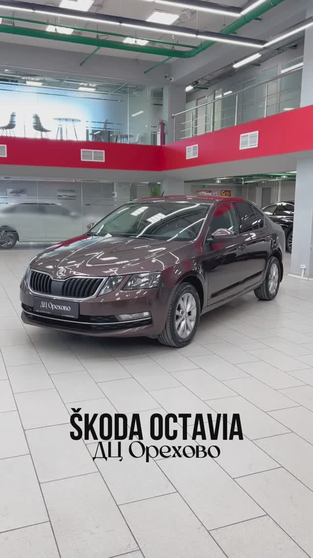 Škoda Octavia | ДЦ Орехово