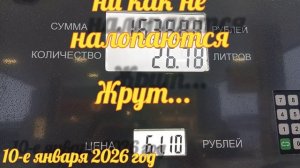 жрут и жрут...