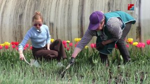 Опытан сад-пакчазе Эльвира Пирогова деч ой-каҥаш-влак
