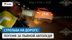 Сотрудники ДПС в Кызыле открыли огонь, чтобы остановить иномарку с пьяной автоледи
