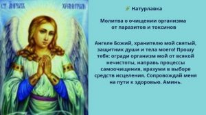 Молитва о очищении организма от паразитов и токсинов