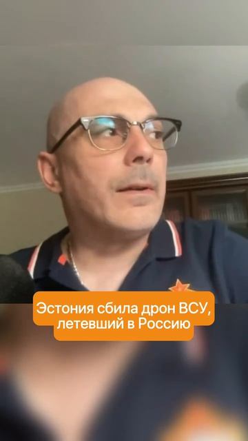 Гаспарян: Почему Эстония решилась сбить украинский дрон?