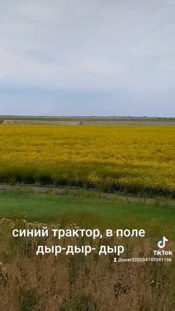 1000026494.mp4