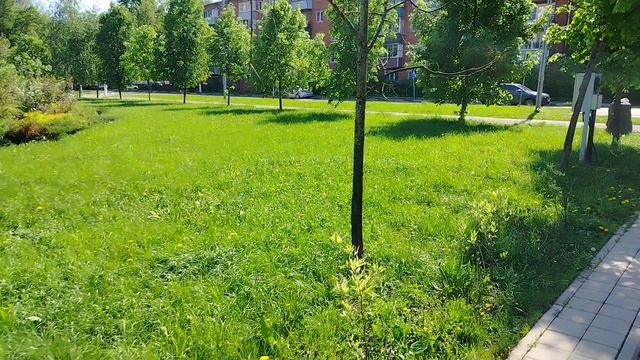 20 мая, теплый день весны, солнечный и яркий. смотреть онлайн