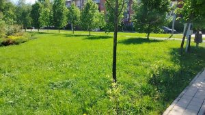20 мая, теплый день весны, солнечный и яркий.