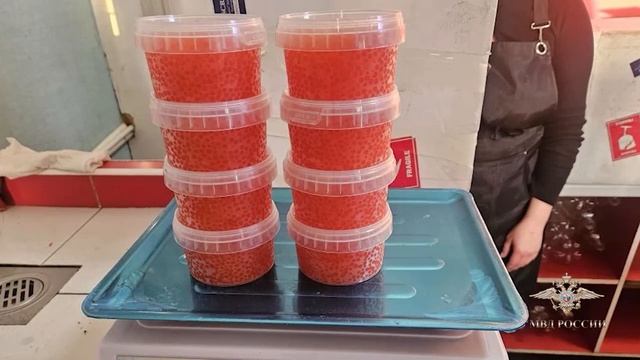 Ростовская полиция пресекла незаконную продажу икры и вернула в естественную среду более 2000 раков