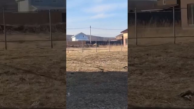 Реальный объект от СК Заград