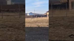 Реальный объект от СК Заград