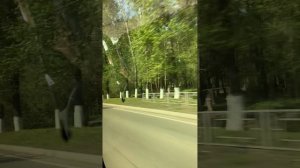 Поездка в  ярославь