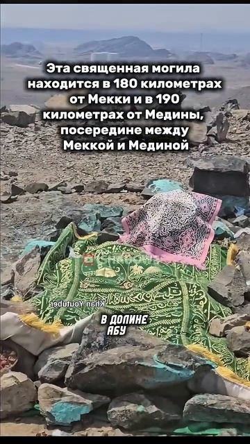 Могила Матери Пророка мир ему! #shotrs → 👤 #ISHADOWS