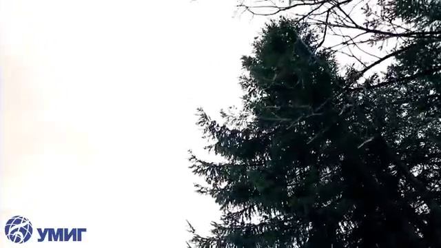 Кварта Олександр  - смереко