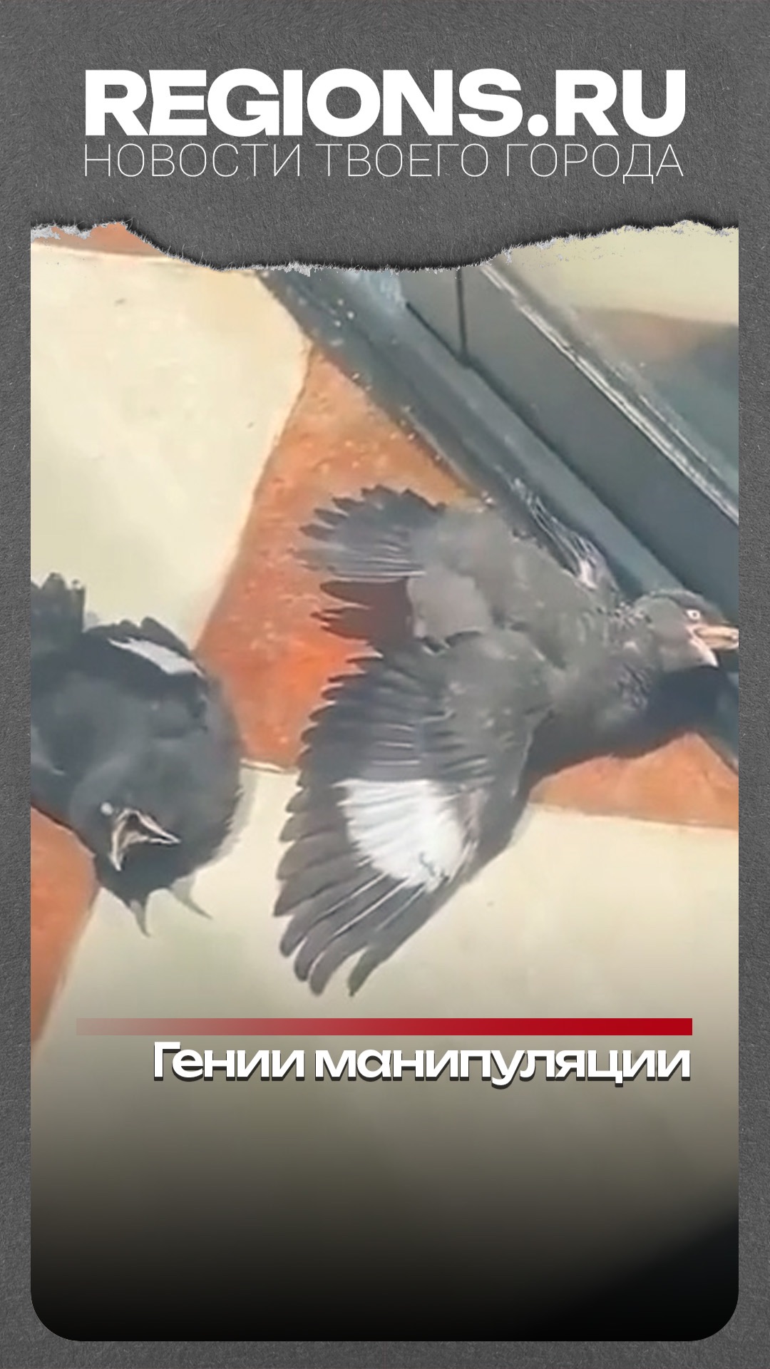Волшебный закат