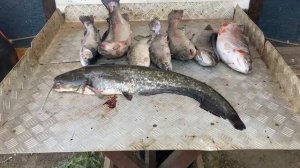итоговый улов с малого водоёма