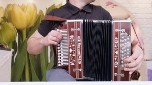 «Коробейники» на гармони