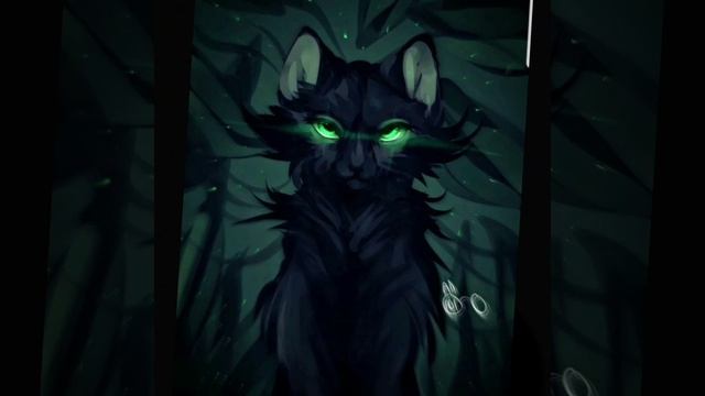 Остролистая || Коты воители