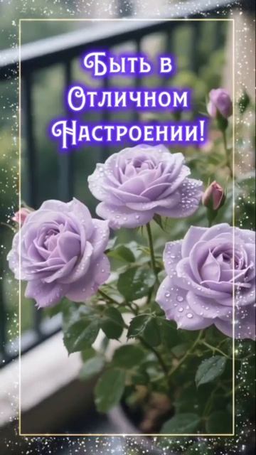 🥰 Оставляйте реакции, если понравилась открытка и делитесь с близкими ❤️
