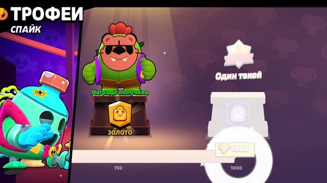 1000027540.mp4