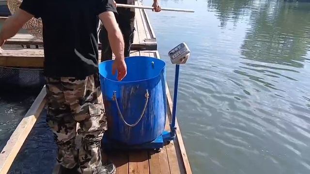 Утро на водоёме.