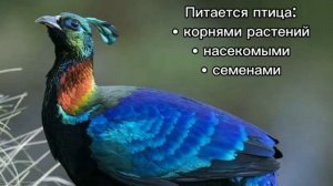 VID_20260519_165128_274.mp4