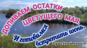 ДОПИВАЕМ ОСТАТКИ ЦВЕТУЩЕГО МАЯ.