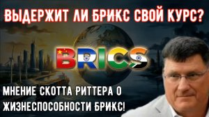 Мнение Скотта Риттера о жизнеспособности БРИКС.