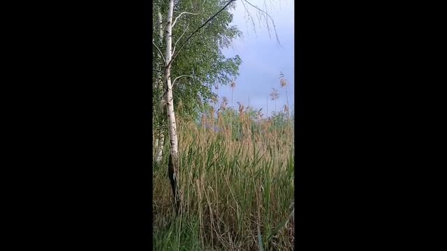 Глоток покоя...