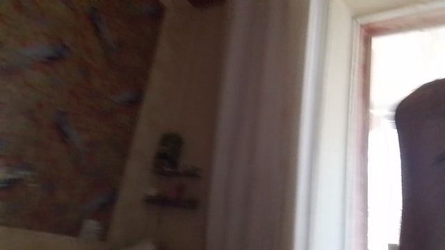 1000005729.mp4