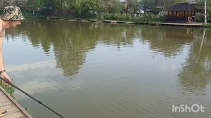 Проснулся карпик🐟