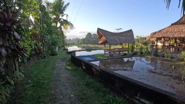 Bali-2026 - 6. Ubud