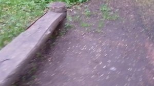 Петергофский ёжик.