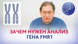 Зачем многим женщинам нужно сдавать анализ гена FMR1.