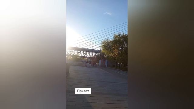 Рубрика Широка красота