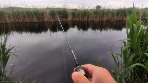 Ловля уклейки. Мормышинг