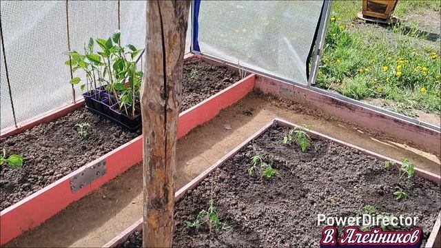 Земляные работы в мае...