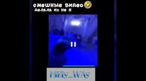 смешные видео😁