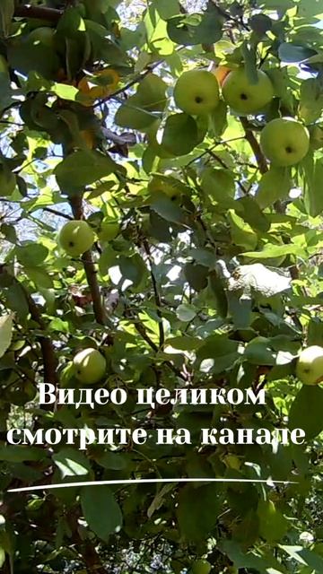 Хотя бы до несколько верующих